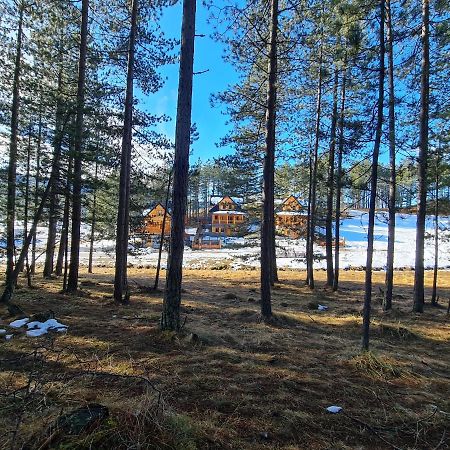 Tornik Studio Zlatibor Luaran gambar