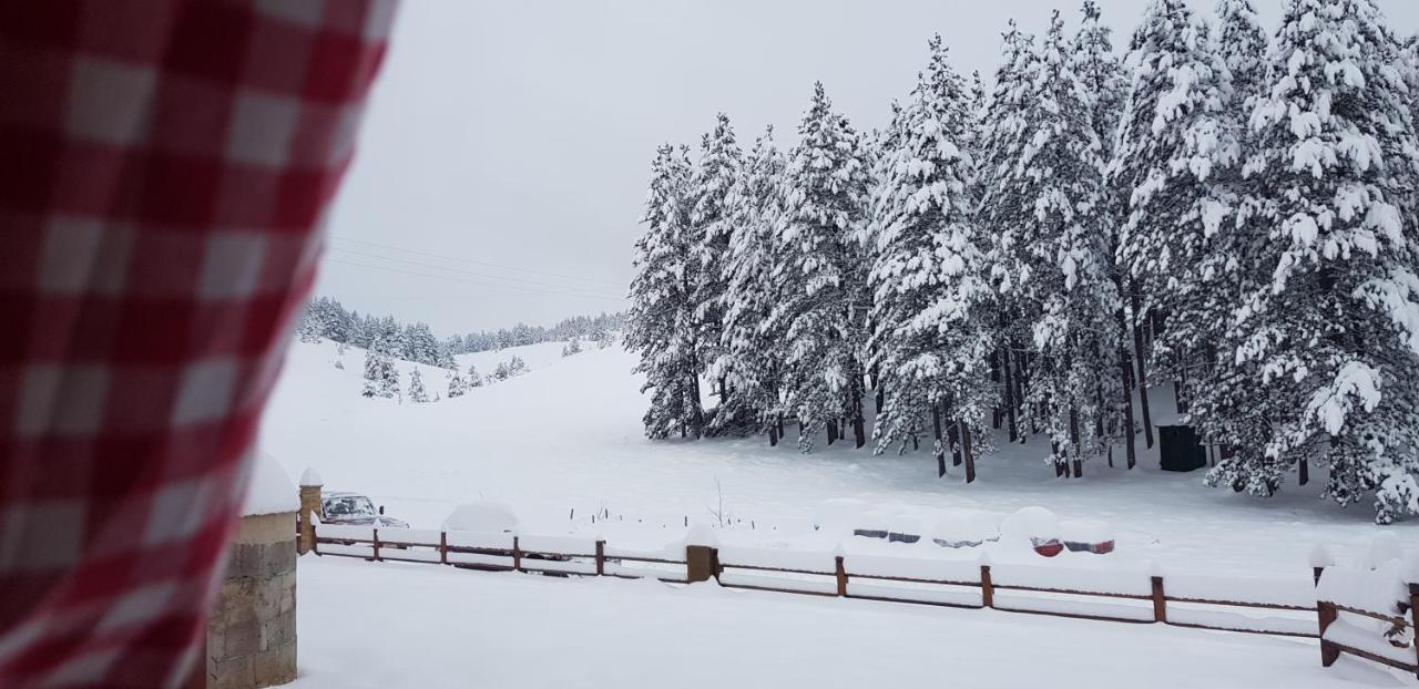 Tornik Studio Zlatibor Luaran gambar