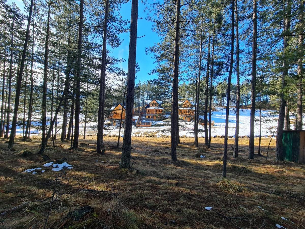 Tornik Studio Zlatibor Luaran gambar