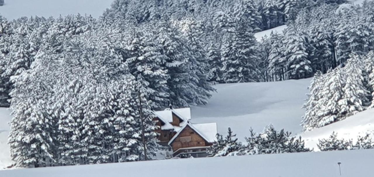 Tornik Studio Zlatibor Luaran gambar